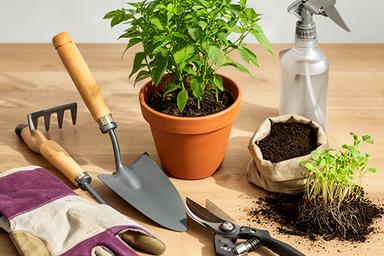 Kit de herramientas de jardinería para trasplante de primavera con guantes, pala y tijeras