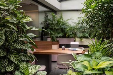 Plantas de sombra para patio interior y oficina con estilo selva urbana